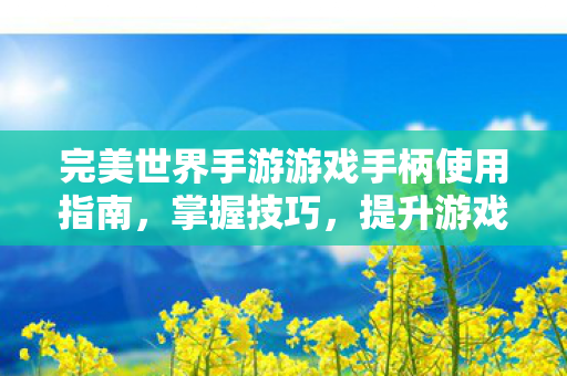 完美世界手游游戏手柄使用指南图片