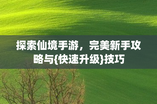 完美新手攻略与图片