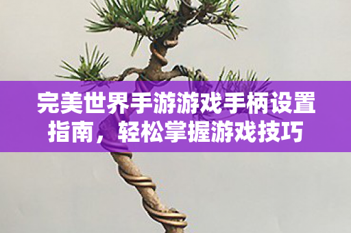 完美世界手游游戏手柄设置指南图片