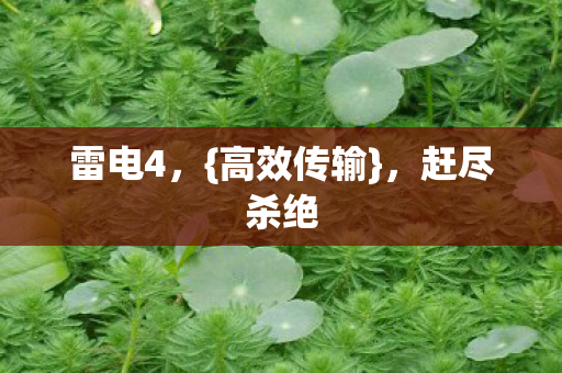 雷电4,{高效传输},赶尽杀绝 雷电4,{高效传输},赶尽杀绝