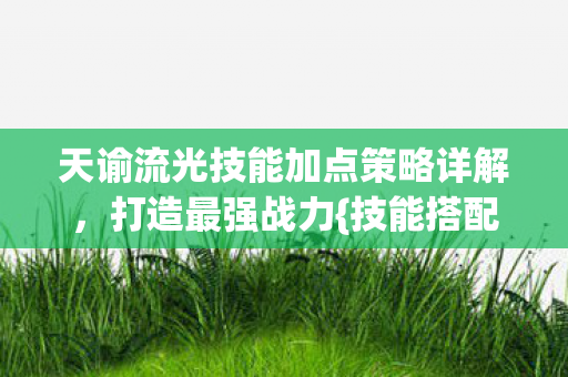天谕流光技能加点策略详解,打造最强战力{技能搭配} 天谕流光技能加点策略详解,打造最强战力{技能搭配}