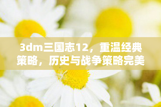 3dm三国志12,重温经典策略,历史与战争策略完美融合 3dm三国志12,重温经典策略,历史与战争策略完美融合