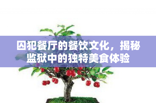 囚犯餐厅的餐饮文化，揭秘监狱中的独特美食体验