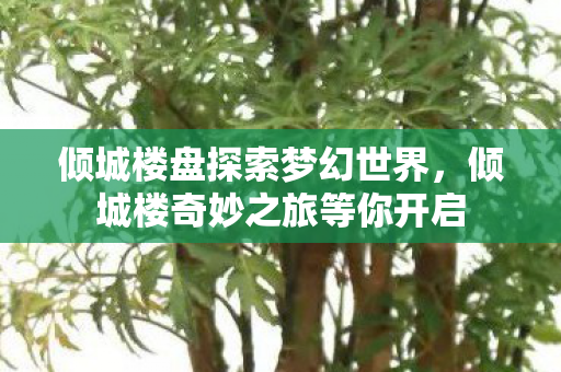 倾城楼盘探索梦幻世界，倾城楼奇妙之旅等你开启
