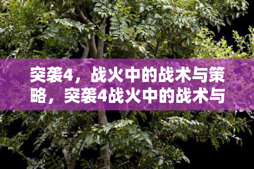 突袭4，战火中的战术与策略，突袭4战火中的战术与策略解析