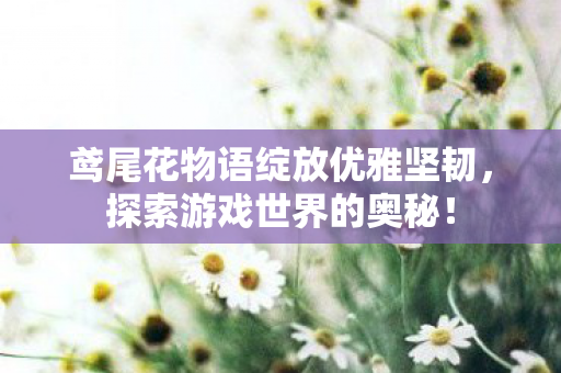鸢尾花物语绽放优雅坚韧，探索游戏世界的奥秘！