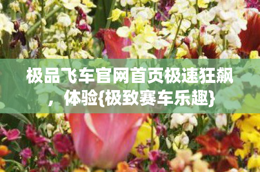 极品飞车官网首页极速狂飙，体验{极致赛车乐趣}