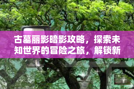 古墓丽影暗影攻略，探索未知世界的冒险之旅，解锁新技能！
