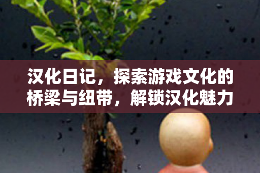 汉化日记,探索游戏文化的桥梁与纽带,解锁汉化魅力! 汉化日记,探索游戏文化的桥梁与纽带,解锁汉化魅力!