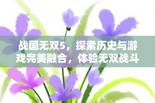 战国无双5,探索历史与游戏完美融合,体验无双战斗新篇章! 战国无双5,探索历史与游戏完美融合,体验无双战斗新篇章!