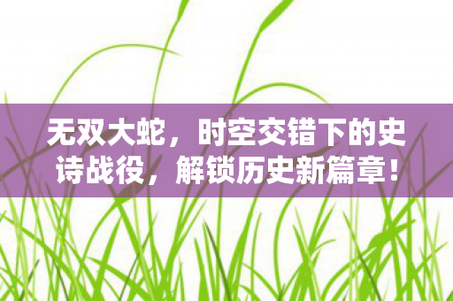 无双大蛇，时空交错下的史诗战役，解锁历史新篇章！