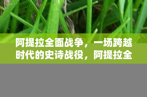 阿提拉全面战争，一场跨越时代的史诗战役，阿提拉全面战争，跨越时代的史诗战役