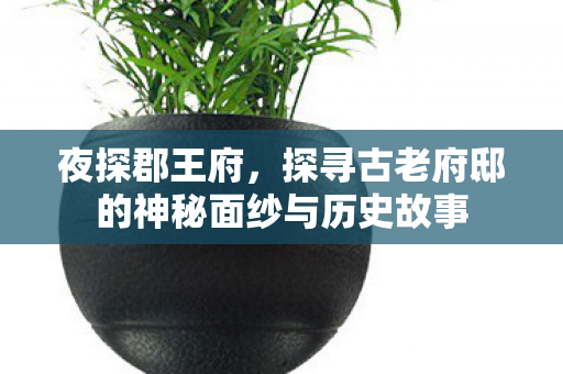 夜探郡王府，探寻古老府邸的神秘面纱与历史故事
