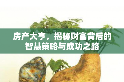 房产大亨，揭秘财富背后的智慧策略与成功之路