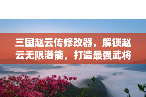 三国赵云传修改器图片