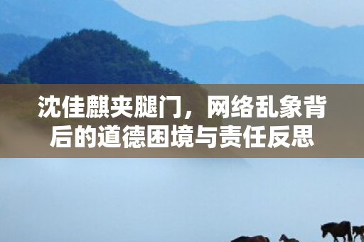 沈佳麒夹腿门，网络乱象背后的道德困境与责任反思