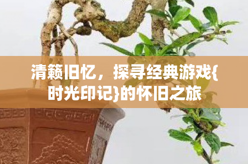 清籁旧忆，探寻经典游戏{时光印记}的怀旧之旅