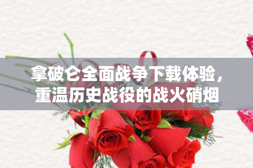拿破仑全面战争下载体验图片