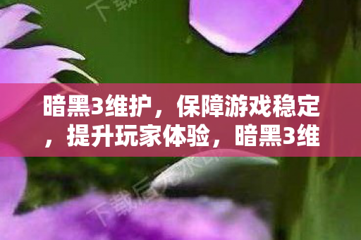 暗黑3维护，保障游戏稳定，提升玩家体验，暗黑3维护，保障游戏稳定，提升玩家体验