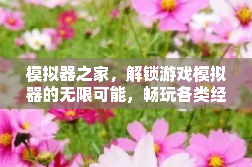 解锁游戏模拟器的无限可能图片