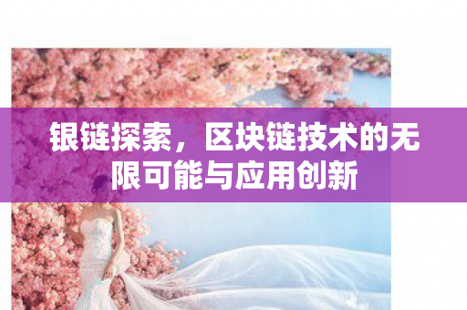 银链探索,区块链技术的无限可能与应用创新 银链探索,区块链技术的无限可能与应用创新