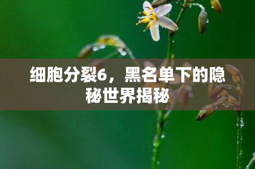 黑名单下的隐秘世界揭秘图片