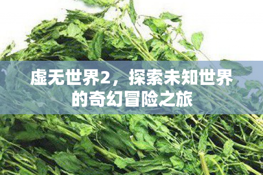 虚无世界2,探索未知世界的奇幻冒险之旅 虚无世界2,探索未知世界的奇幻冒险之旅