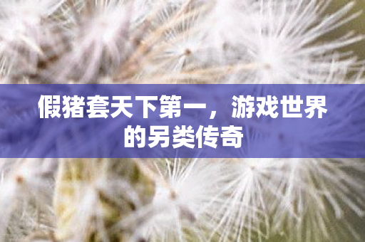 假猪套天下第一，游戏世界的另类传奇