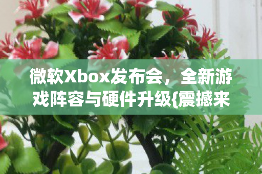 微软Xbox发布会,全新游戏阵容与硬件升级{震撼来袭} 微软Xbox发布会,全新游戏阵容与硬件升级{震撼来袭}