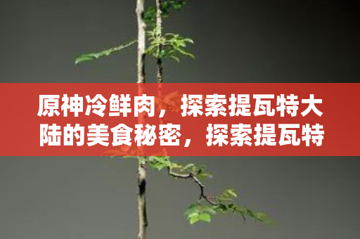 原神冷鲜肉，探索提瓦特大陆的美食秘密，探索提瓦特大陆，揭秘原神中的冷鲜肉美食秘密