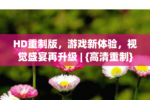 HD重制版,游戏新体验,视觉盛宴再升级 | {高清重制} HD重制版,游戏新体验,视觉盛宴再升级 | {高清重制}