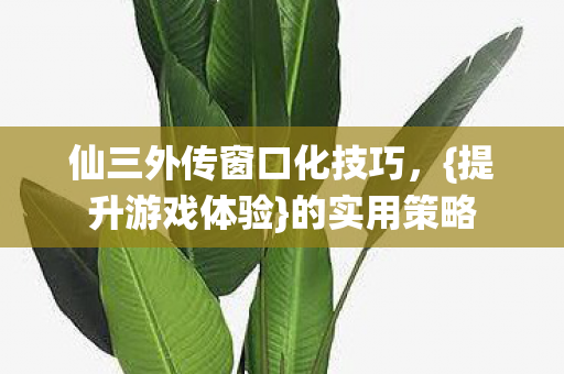 仙三外传窗口化技巧,{提升游戏体验}的实用策略 仙三外传窗口化技巧,{提升游戏体验}的实用策略