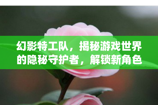 幻影特工队,揭秘游戏世界的隐秘守护者,解锁新角色{神秘特工} 幻影特工队,揭秘游戏世界的隐秘守护者,解锁新角色{神秘特工}