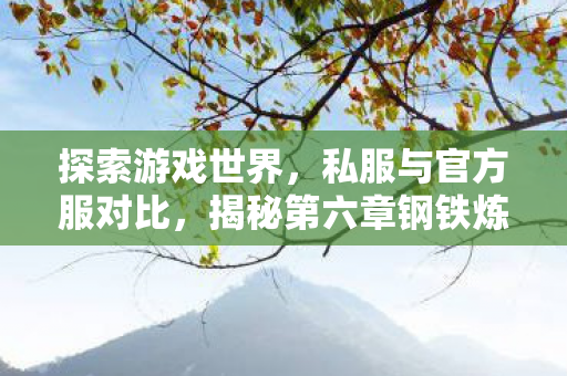 探索游戏世界,私服与官方服对比,揭秘第六章钢铁炼成之旅的另一面 探索游戏世界,私服与官方服对比,揭秘第六章钢铁炼成之旅的另一面