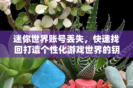 快速找回打造个性化游戏世界的钥匙图片
