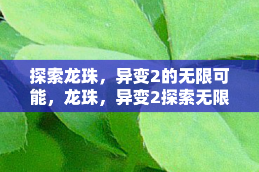 探索龙珠，异变2的无限可能，龙珠，异变2探索无限可能，开启全新冒险！