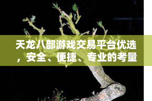 天龙八部游戏交易平台优选，安全、便捷、专业的考量