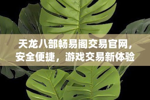天龙八部畅易阁交易官网图片