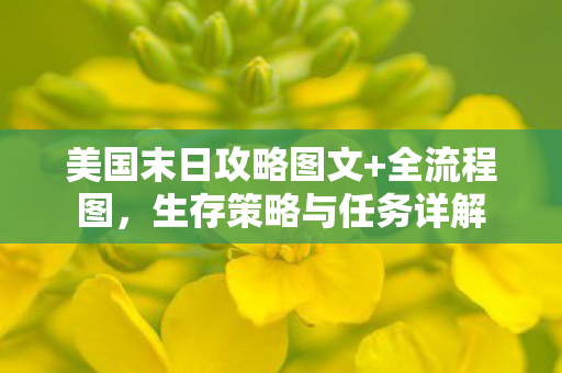 美国末日攻略图文+全流程图,生存策略与任务详解 美国末日攻略图文+全流程图,生存策略与任务详解