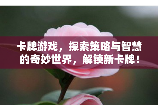 卡牌游戏，探索策略与智慧的奇妙世界，解锁新卡牌！