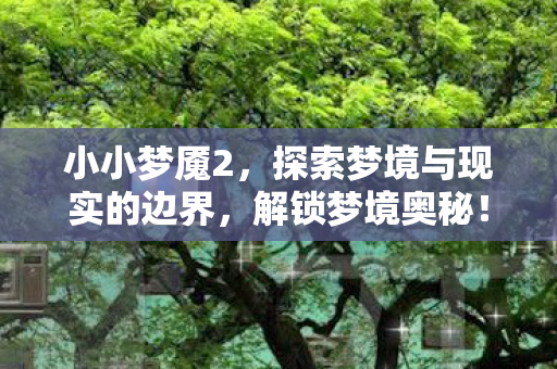 小小梦魇2，探索梦境与现实的边界，解锁梦境奥秘！
