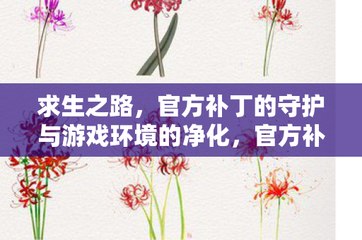 求生之路，官方补丁的守护与游戏环境的净化，官方补丁守护求生之路，净化游戏环境