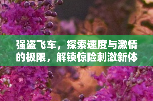 强盗飞车，探索速度与激情的极限，解锁惊险刺激新体验！