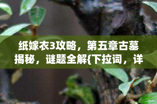 纸嫁衣3攻略，第五章古墓揭秘，谜题全解{下拉词，详细步骤}