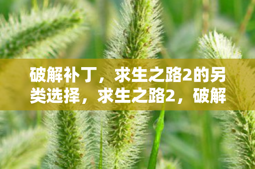 破解补丁，求生之路2的另类选择，求生之路2，破解补丁的另类选择