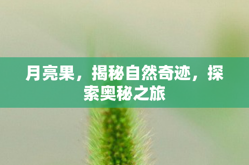 月亮果,揭秘自然奇迹,探索奥秘之旅 月亮果,揭秘自然奇迹,探索奥秘之旅