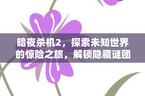 暗夜杀机2，探索未知世界的惊险之旅，解锁隐藏谜团
