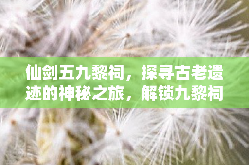 仙剑五九黎祠，探寻古老遗迹的神秘之旅，解锁九黎祠的传奇故事！