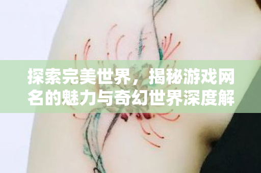 揭秘游戏网名的魅力与奇幻世界深度解析图片