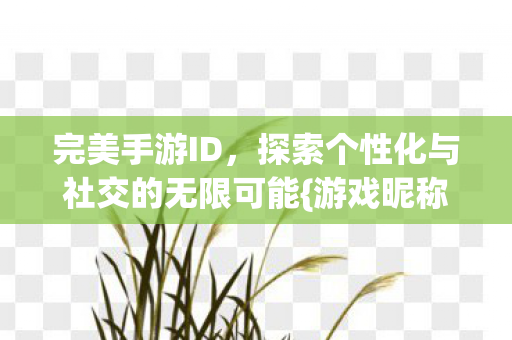 探索个性化与社交的无限可能图片